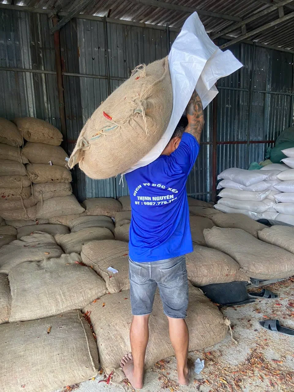 Bốc vác giá rẻ hcm
